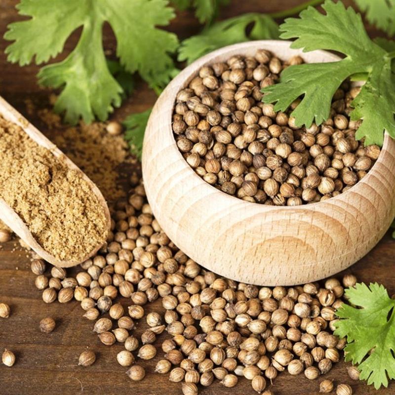 Coriander Seed (Dhaniya)