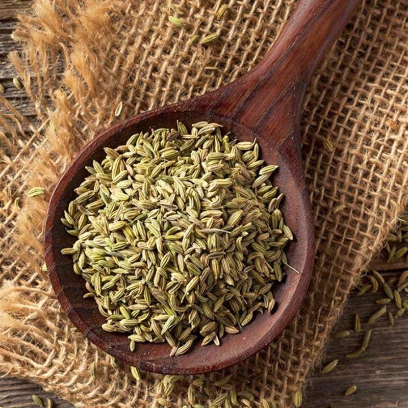 Fennel Seed (Saunf)